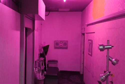 �Z�N�V�[�L���b�g