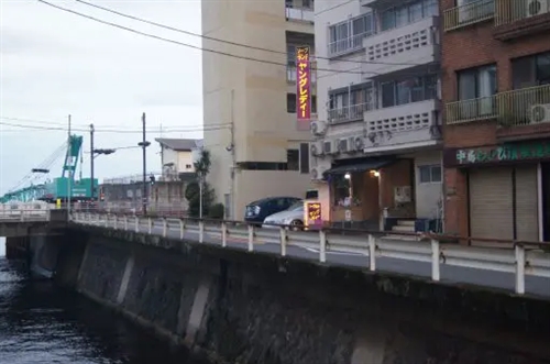 ヤングレディー